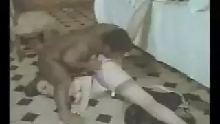 مص قضيب في غرفة النوم: سيدة فرنسية ترتدي جوارب تخدم رجلها