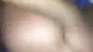 شعر طويل بيتزا خطوط تان