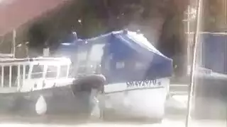 إباحية حديقة الحيوانات مع محبي الجماع الحيواني