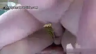 أمي بوف بيرو الاسكتلندي